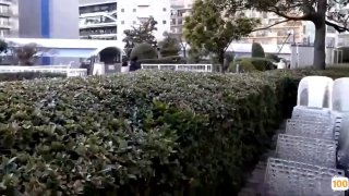 生活在这样的家庭真性福整天冲动 大清早姐姐就在身前香艳嬉戏顶不住揉捏奶子掏出鸡巴舔吸啪啪狂干